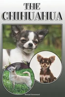 El Chihuahua: Guía completa y exhaustiva para el propietario: Comprar, Tener, Salud, Aseo, Adiestramiento, Obediencia, Comprender y - The Chihuahua: A Complete and Comprehensive Owners Guide To: Buying, Owning, Health, Grooming, Training, Obedience, Understanding and