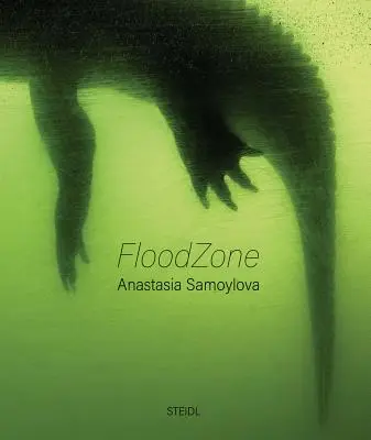Anastasia Samoylova Floodzone - Anastasia Samoylova: Floodzone