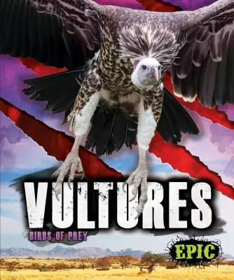 Buitres - Vultures