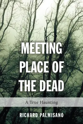 El lugar de encuentro de los muertos: una auténtica pesadilla - Meeting Place of the Dead: A True Haunting