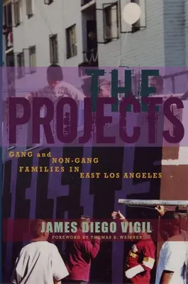 Proyectos - Familias pandilleras y no pandilleras en el este de Los Ángeles - Projects - Gang and Non-Gang Families in East Los Angeles