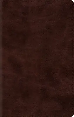 Biblia de línea delgada-ESV - Thinline Bible-ESV