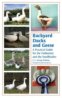 Patos y gansos de traspatio: Guía práctica para aficionados y pequeños propietarios - Backyard Ducks and Geese: A Practical Guide for the Enthusiast and the Smallholder