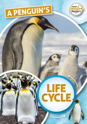 El ciclo vital del pingüino - Penguin's Life Cycle