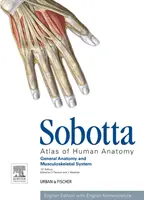 Atlas Sobotta de Anatomía Humana, Vol. 1, 15ª ed., Inglés - Anatomía General y Sistema Musculoesquelético - Sobotta Atlas of Human Anatomy, Vol.1, 15th ed., English - General Anatomy and Musculoskeletal System