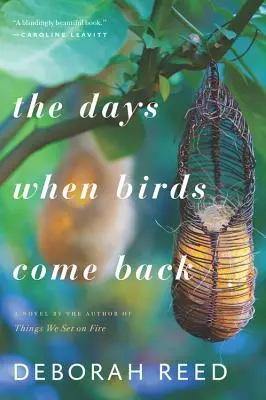 Los días en que vuelven los pájaros - The Days When Birds Come Back