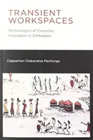Espacios de trabajo transitorios: Tecnologías de la innovación cotidiana en Zimbabue - Transient Workspaces: Technologies of Everyday Innovation in Zimbabwe