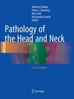 Patología de la cabeza y el cuello - Pathology of the Head and Neck