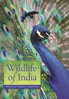 Vida salvaje de la India - Wildlife of India