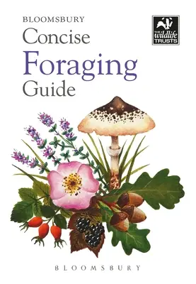 Kurzer Leitfaden für die Nahrungssuche - Concise Foraging Guide