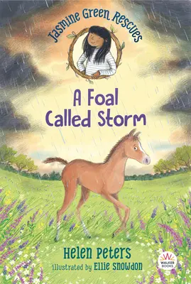 Jasmine Green Rescates: Un potro llamado Storm - Jasmine Green Rescues: A Foal Called Storm