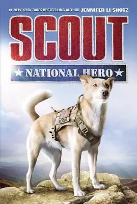 Explorador: Héroe Nacional - Scout: National Hero