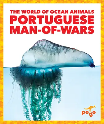 Hombre de guerra portugués - Portuguese Man-Of-Wars