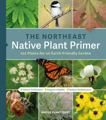 Manual de plantas autóctonas del noreste: 235 plantas para un jardín respetuoso con la Tierra - The Northeast Native Plant Primer: 235 Plants for an Earth-Friendly Garden