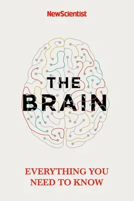 El cerebro: Todo lo que hay que saber - The Brain: Everything You Need to Know