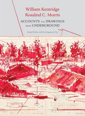 Cuentas y dibujos del subsuelo: El libro de caja de East Rand Proprietary Mines - Accounts and Drawings from Underground: The East Rand Proprietary Mines Cash Book