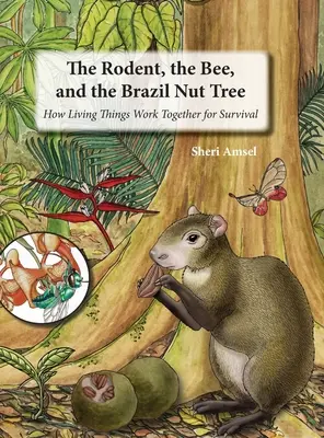 El roedor, la abeja y la castaña: cómo los seres vivos colaboran para sobrevivir - The Rodent, the Bee, and the Brazil Nut Tree: How Living Things Work Together for Survival