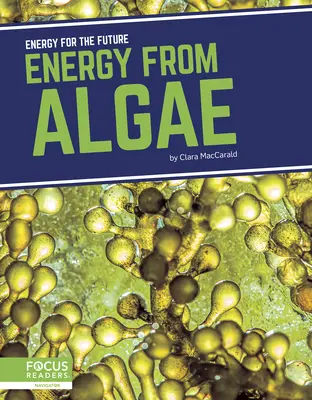 Energía de las algas - Energy from Algae