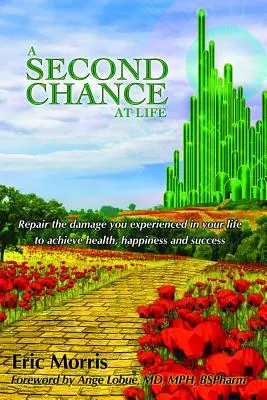 Una segunda oportunidad en la vida: Cómo reparar el daño que han sufrido en sus vidas - A Second Chance at Life: Repairing the Damage You Have Experienced in Your Lives