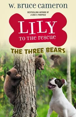 Lily al rescate: Los tres osos - Lily to the Rescue: The Three Bears