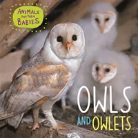 Los animales y sus bebés: Búhos y lechuzas - Animals and their Babies: Owls & Owlets