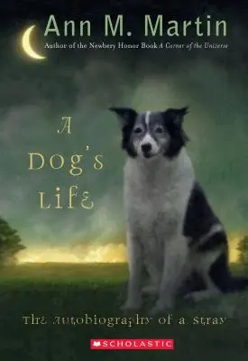 La vida de un perro: La autobiografía de un perro callejero (Scholastic Gold) - A Dog's Life: The Autobiography of a Stray (Scholastic Gold)