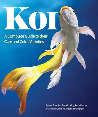 Koi: Guía completa de sus cuidados y variedades de color - Koi: A Complete Guide to Their Care and Color Varieties