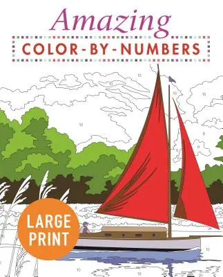 Amazing Color by Numbers Large Print