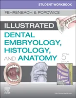 Libro de ejercicios del alumno para Embriología, histología y anatomía dental ilustradas - Student Workbook for Illustrated Dental Embryology, Histology and Anatomy