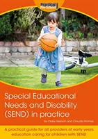 Necesidades educativas especiales y discapacidad (SEND) en la práctica - Special Educational Needs and Disability (SEND) in practice