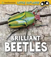 Escarabajos Brillantes - Brilliant Beetles