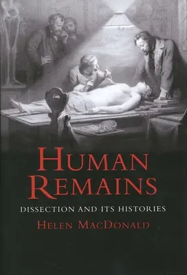 Restos humanos - Human Remains