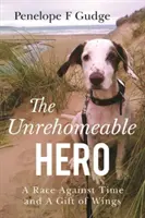 Un héroe irrecuperable, una carrera contrarreloj y un don de alas - Unrehomeable Hero, A Race Against Time & A Gift of Wings