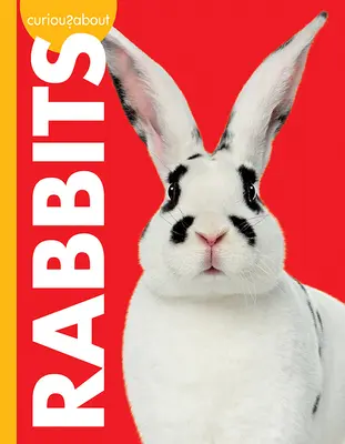 Curiosidad por los conejos - Curious about Rabbits