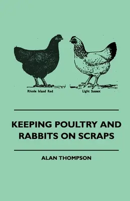 Criar aves y conejos con restos de comida - Keeping Poultry and Rabbits on Scraps