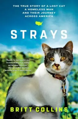 Strays: La verdadera historia de un gato perdido, un vagabundo y su viaje por Estados Unidos - Strays: The True Story of a Lost Cat, a Homeless Man, and Their Journey Across America