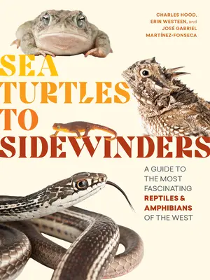 De las tortugas marinas a las arañas: Guía de los reptiles y anfibios más fascinantes de Occidente - Sea Turtles to Sidewinders: A Guide to the Most Fascinating Reptiles and Amphibians of the West