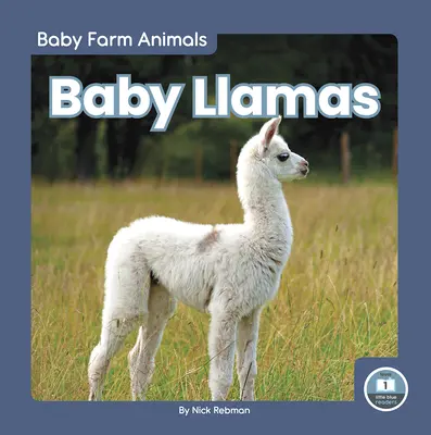 Llamas - Baby Llamas