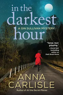 En la hora más oscura: Un misterio de Gin Sullivan - In the Darkest Hour: A Gin Sullivan Mystery