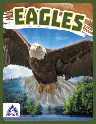 Águilas - Eagles