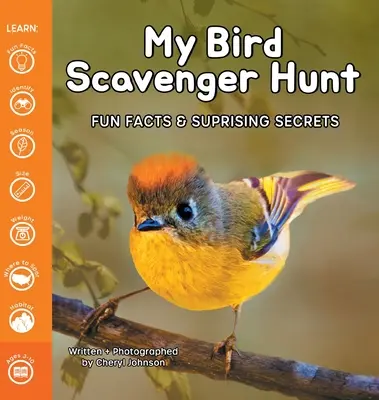 Mi caza del tesoro de las aves - My Bird Scavenger Hunt