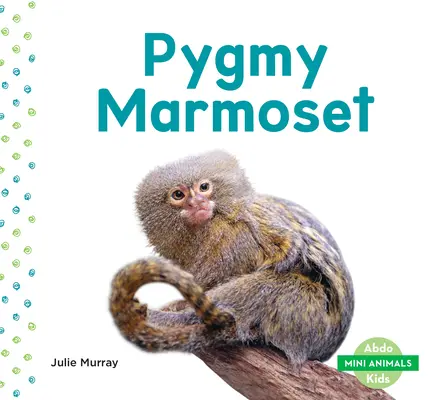 Tití pigmeo - Pygmy Marmoset