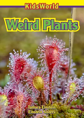 Plantas raras - Weird Plants