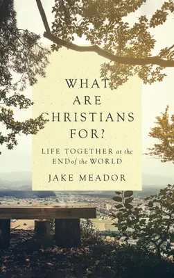 ¿Para qué sirven los cristianos?: La vida en común en el fin del mundo - What Are Christians For?: Life Together at the End of the World