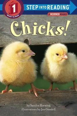 Chicas - Chicks!