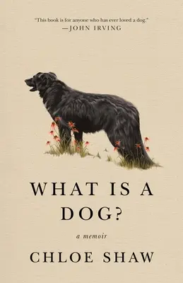 ¿Qué es un perro? Memorias - What Is a Dog?: A Memoir