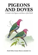 Palomas y tórtolas - Guía de las palomas y tórtolas del mundo - Pigeons and Doves - A Guide to the Pigeons and Doves of the World
