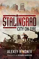 Stalingrado: Ciudad en llamas - Stalingrad: City on Fire