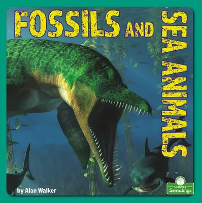 Fósiles y animales marinos - Fossils and Sea Animals