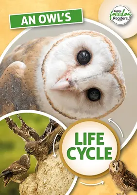 El ciclo vital del búho - Owl's Life Cycle